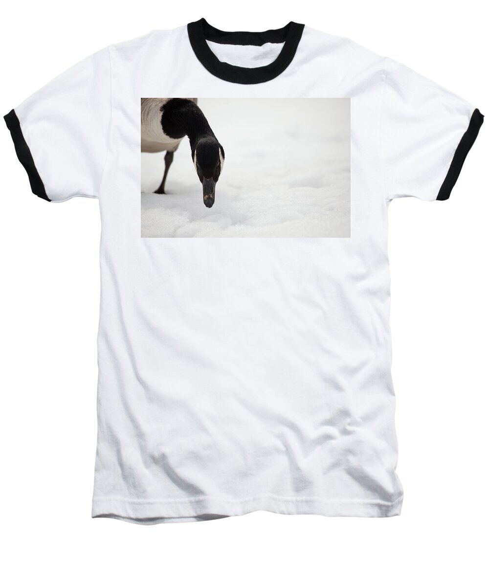 Canada Goose Point Baseball T-Shirt featuring the photograph I Do See You by Karol Livote