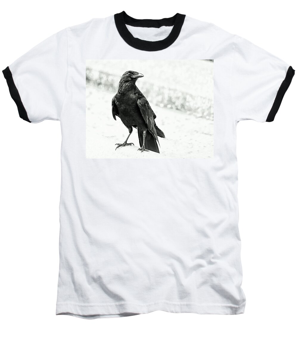 Crow Baseball T-Shirt featuring the photograph I Spy by Stoney Lawrentz
