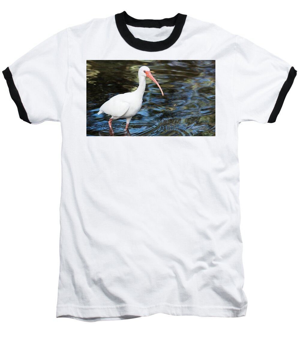 Wildlife Baseball T-Shirt featuring the photograph Ibis In The Swamp by Kenneth Albin