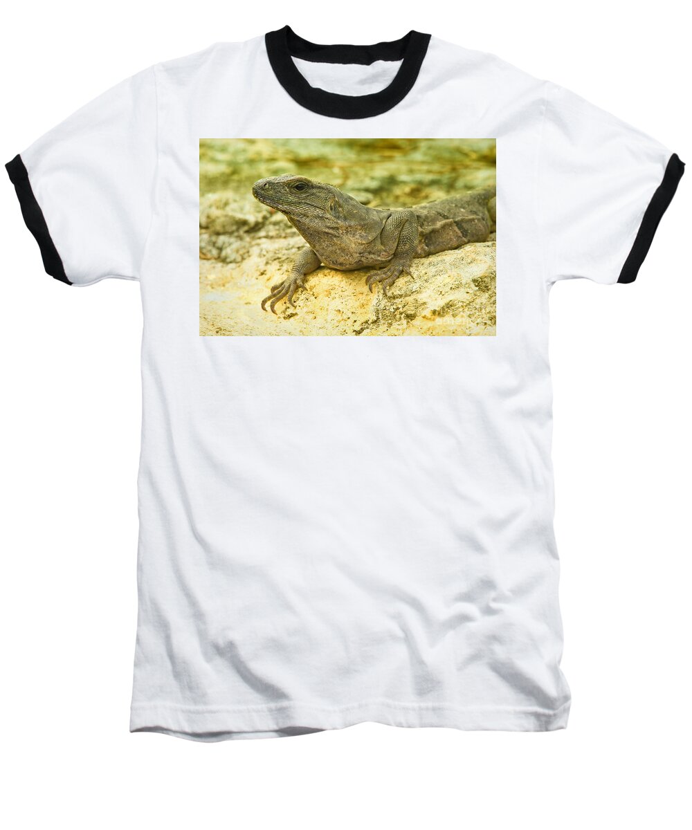 Animal Baseball T-Shirt featuring the photograph Iguana 2 by Teresa Zieba