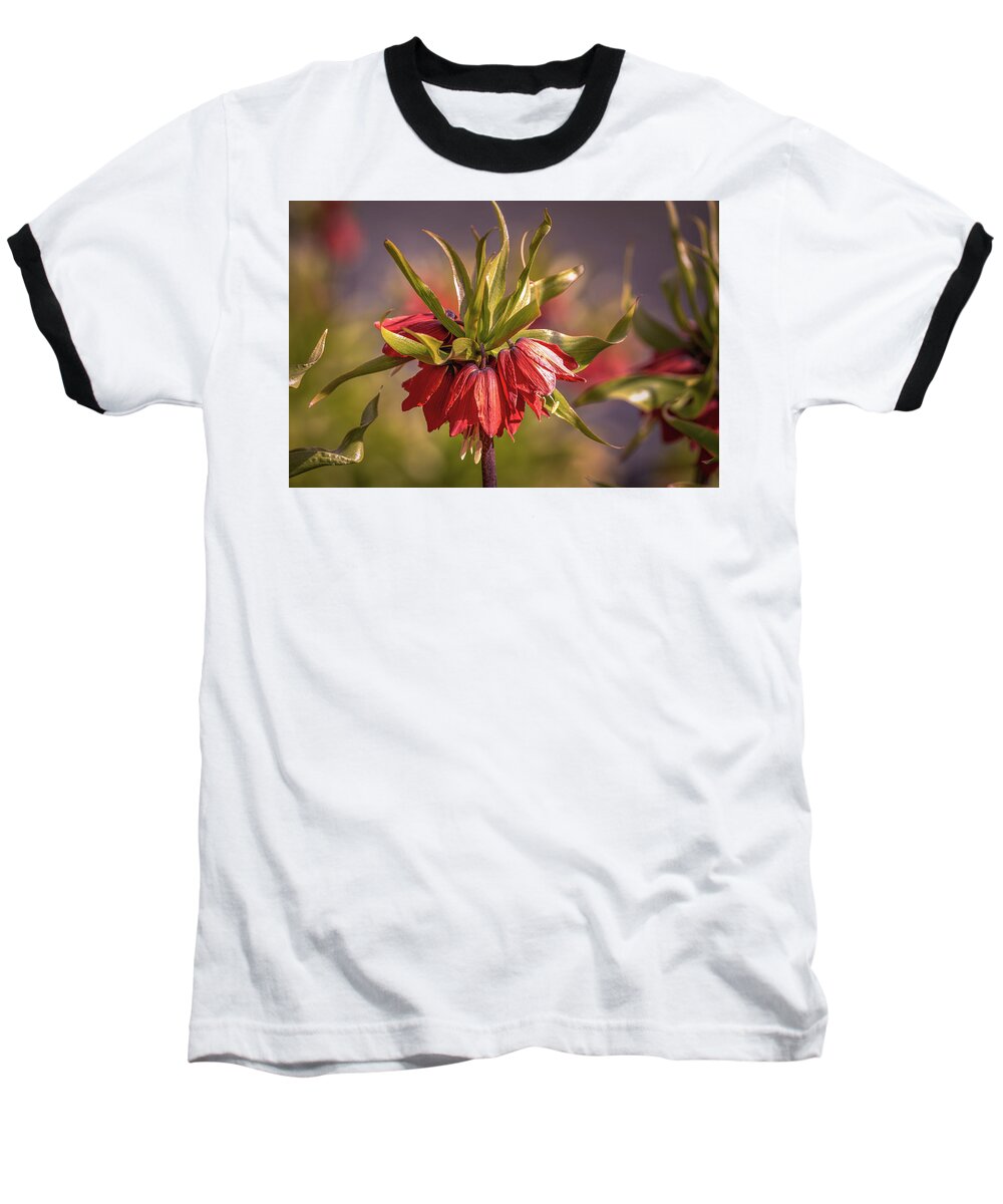Imperial Crown Baseball T-Shirt featuring the photograph Imperial crown #g3 by Leif Sohlman