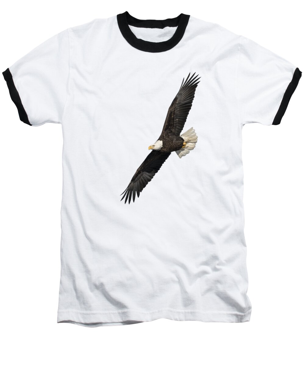 American Bald Eagle Baseball T-Shirt featuring the photograph Isolated American Bald Eagle 2016-3 by Thomas Young