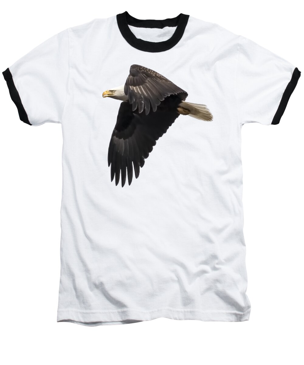 American Bald Eagle Baseball T-Shirt featuring the photograph Isolated American Bald Eagle 2016-6 by Thomas Young