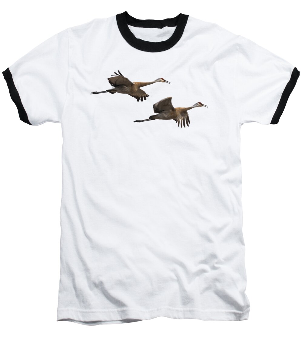 Sandhill Cranes Baseball T-Shirt featuring the photograph Isolated Sandhill Cranes 2016-1 by Thomas Young