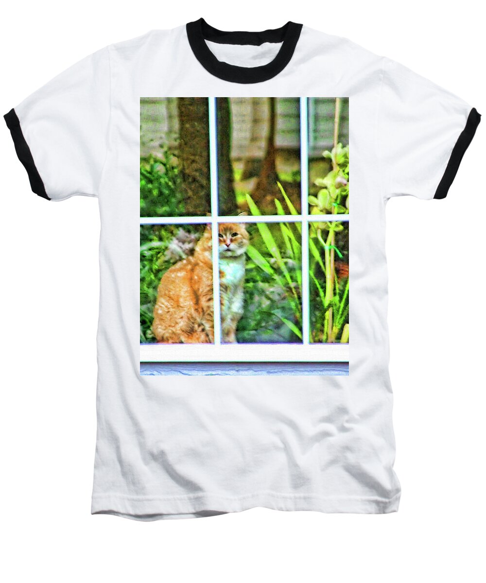 Cat Baseball T-Shirt featuring the photograph Kitty Reflections by Wendy McKennon