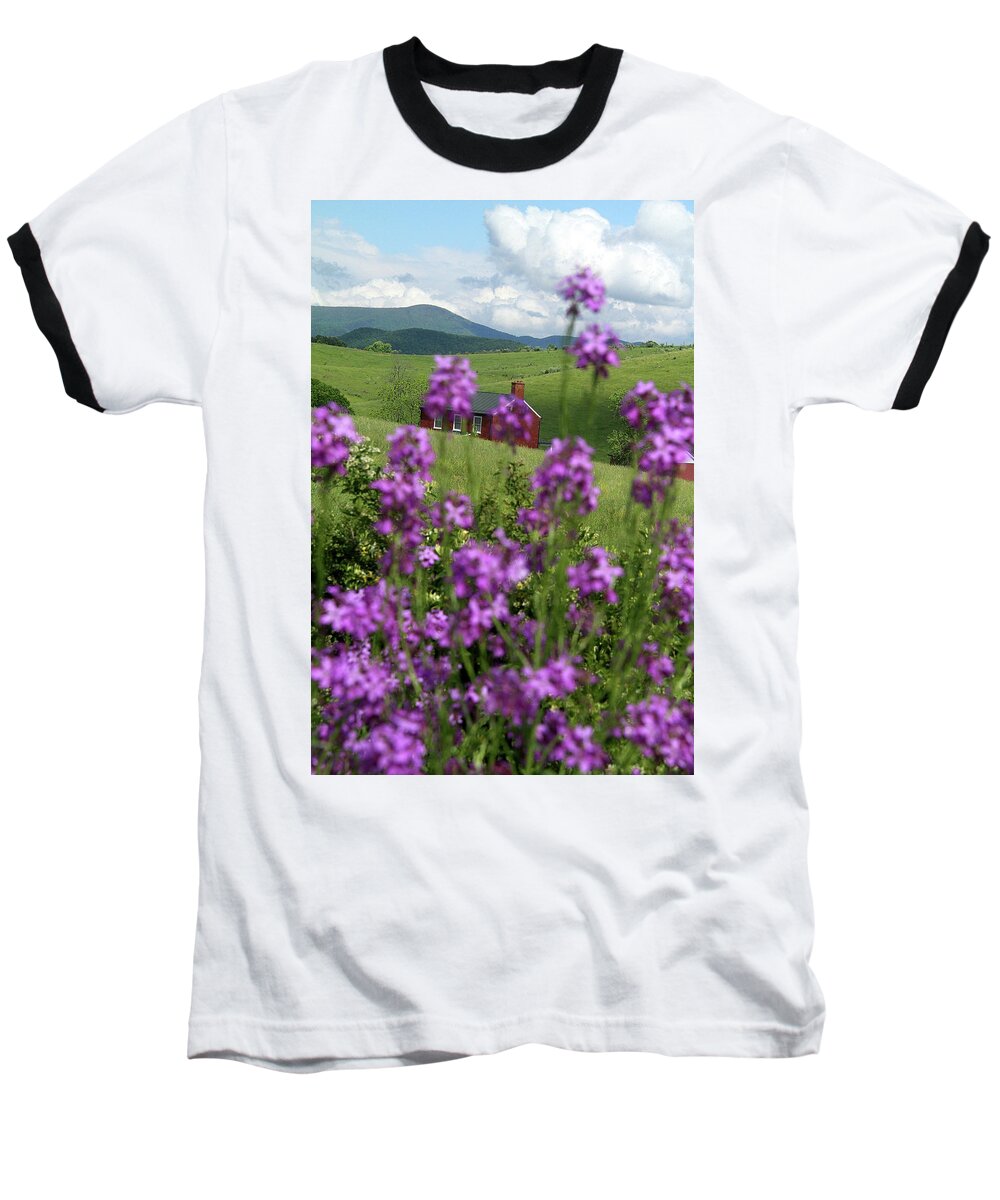 Grass Baseball T-Shirt featuring the photograph Landscape with purple flowers in Virginia by Emanuel Tanjala