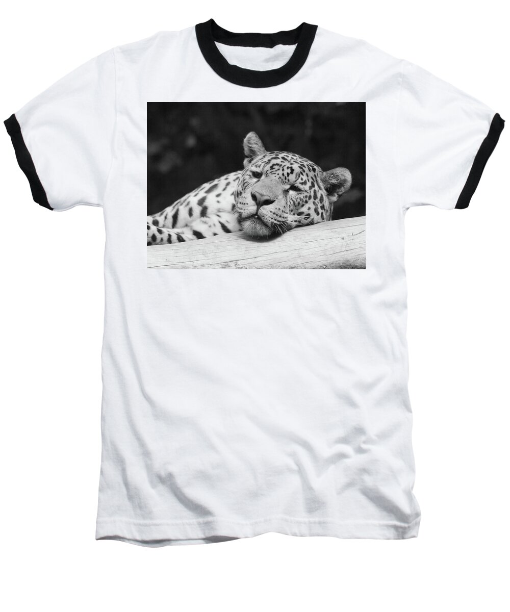 All Animals Images Baseball T-Shirt featuring the photograph Lazy Leopard by Ed James