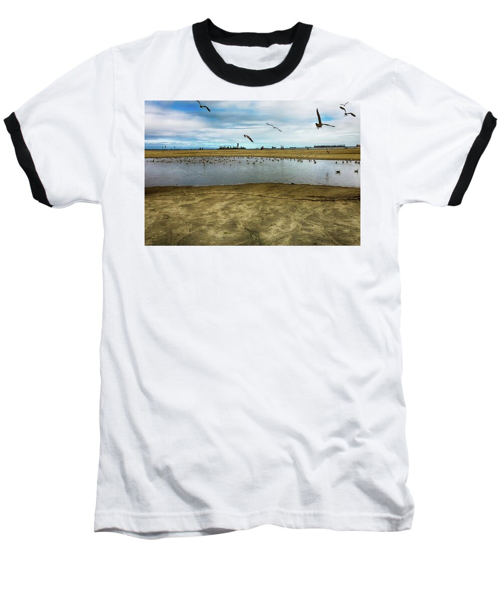 Seagulls Baseball T-Shirt featuring the photograph LB Seagull Pond by Joseph Hollingsworth