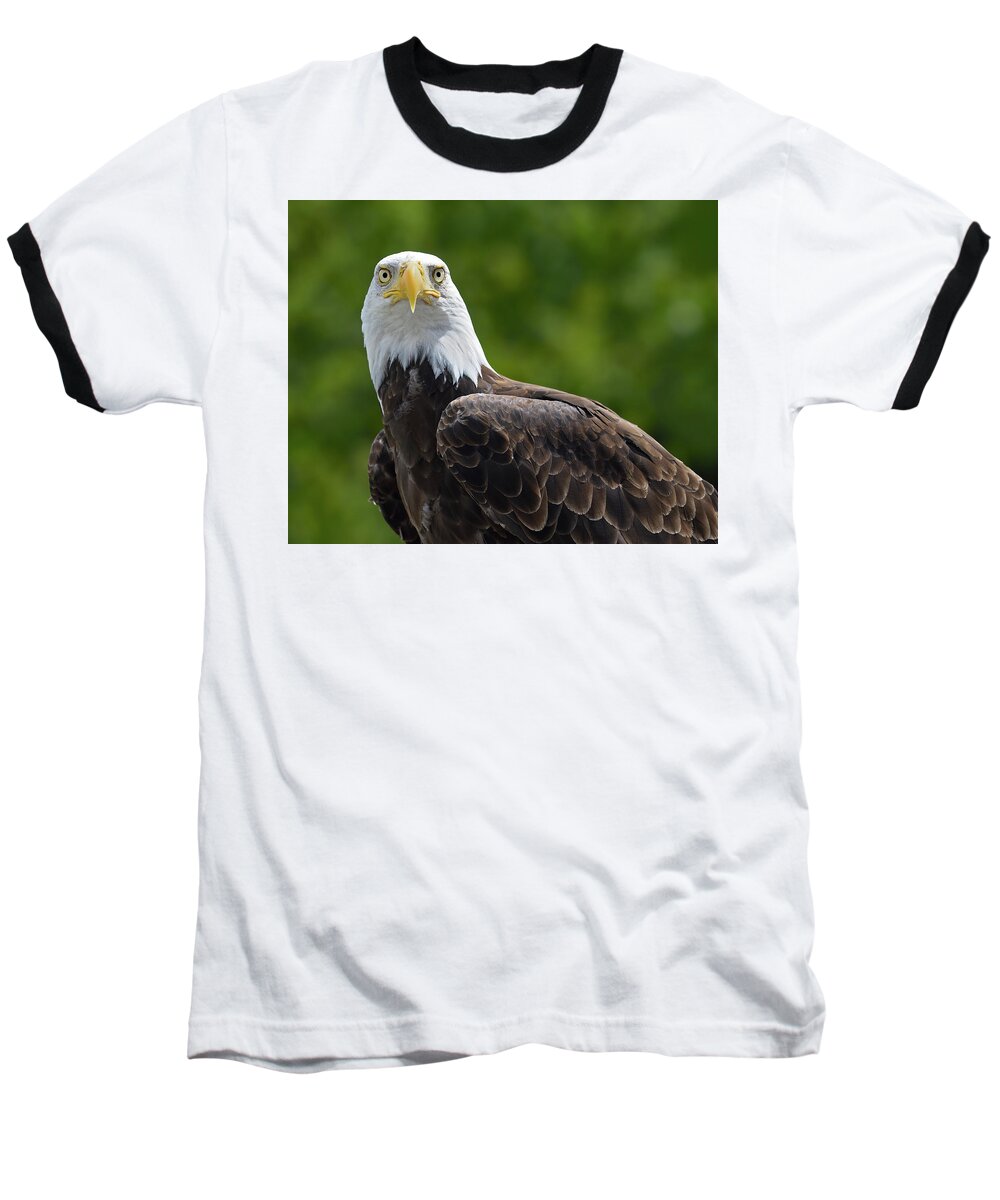 Bald Eagle Baseball T-Shirt featuring the photograph Left Turn by Tony Beck