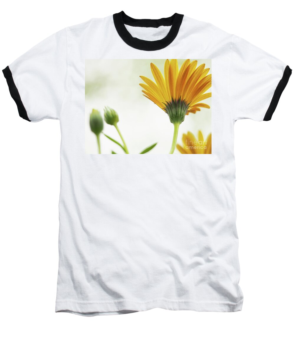 Flowers Baseball T-Shirt featuring the photograph Lemon Symphony On A Crisp Spring Day by Dorothy Lee