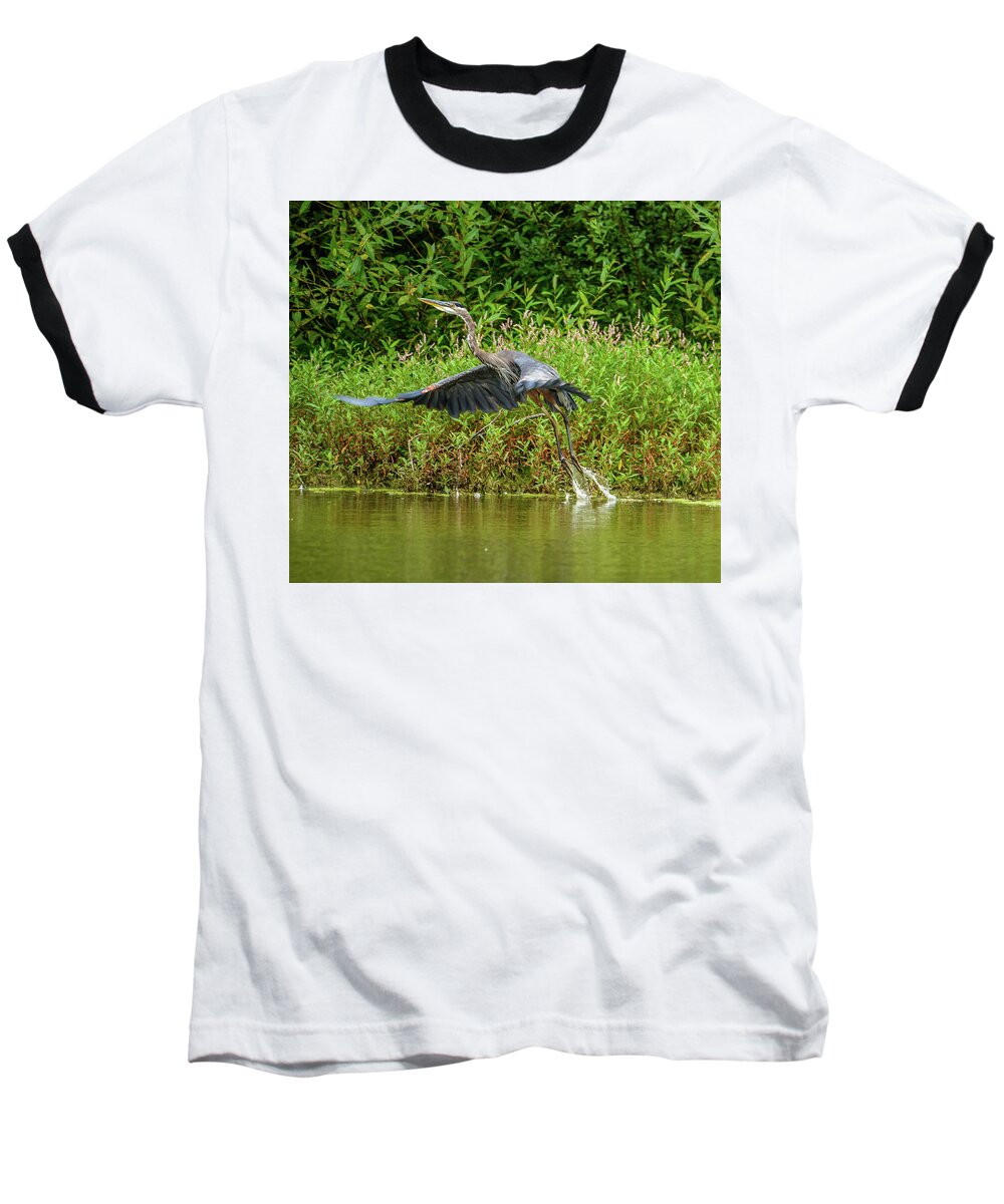 Heron Baseball T-Shirt featuring the photograph Liftoff by Jerry Cahill
