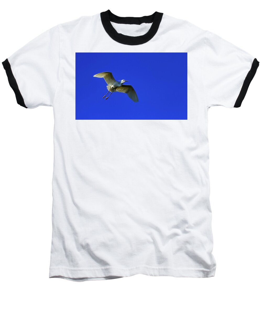 Little Baseball T-Shirt featuring the photograph Little egret, egretta garzetta by Elenarts - Elena Duvernay photo