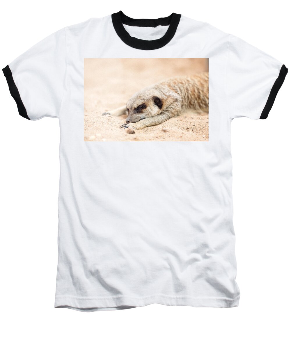 El Paso Baseball T-Shirt featuring the photograph Long Day in Meerkat Village by SR Green
