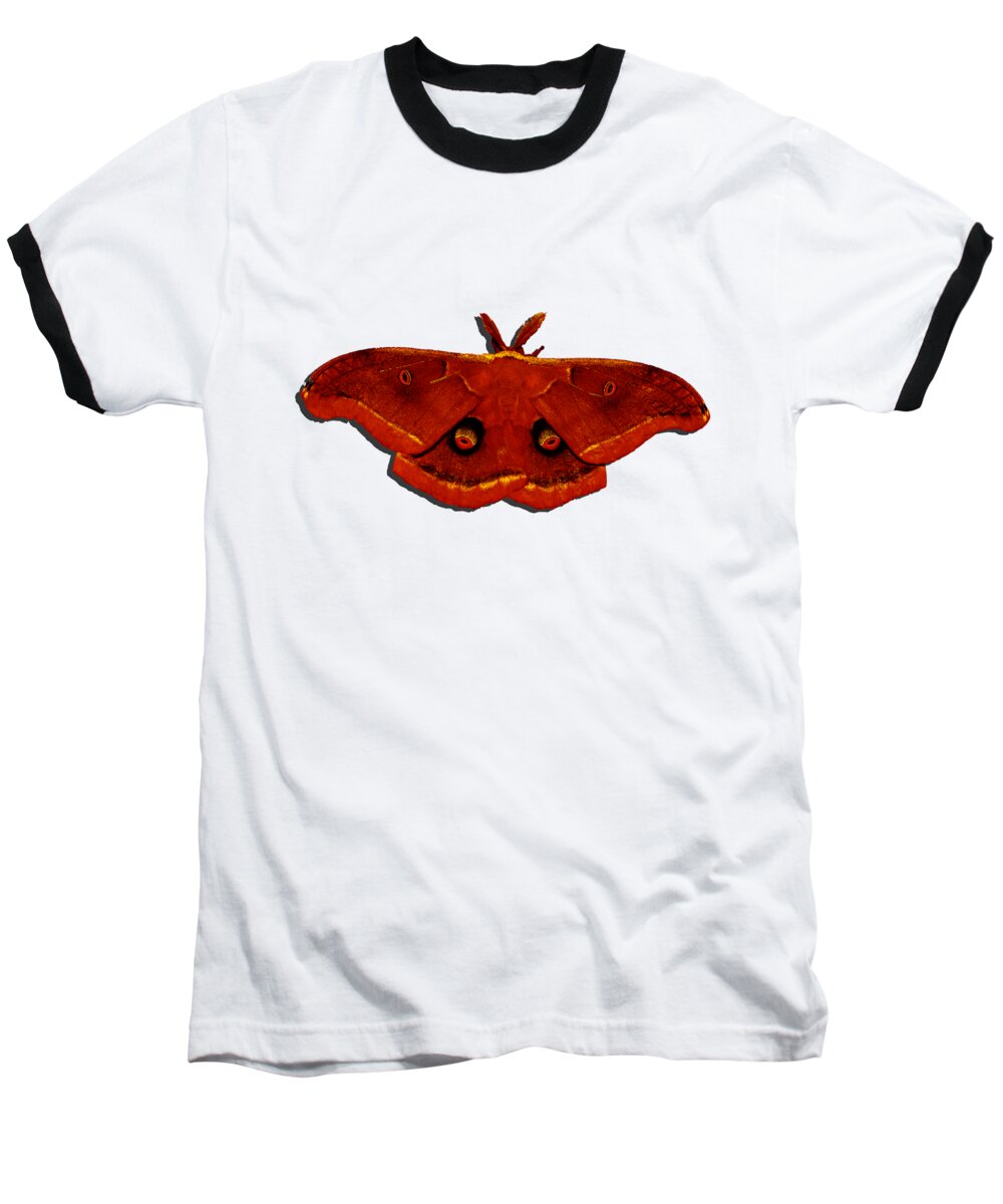 Polyphemus Moth Baseball T-Shirt featuring the photograph Male Moth Red .png by Al Powell Photography USA