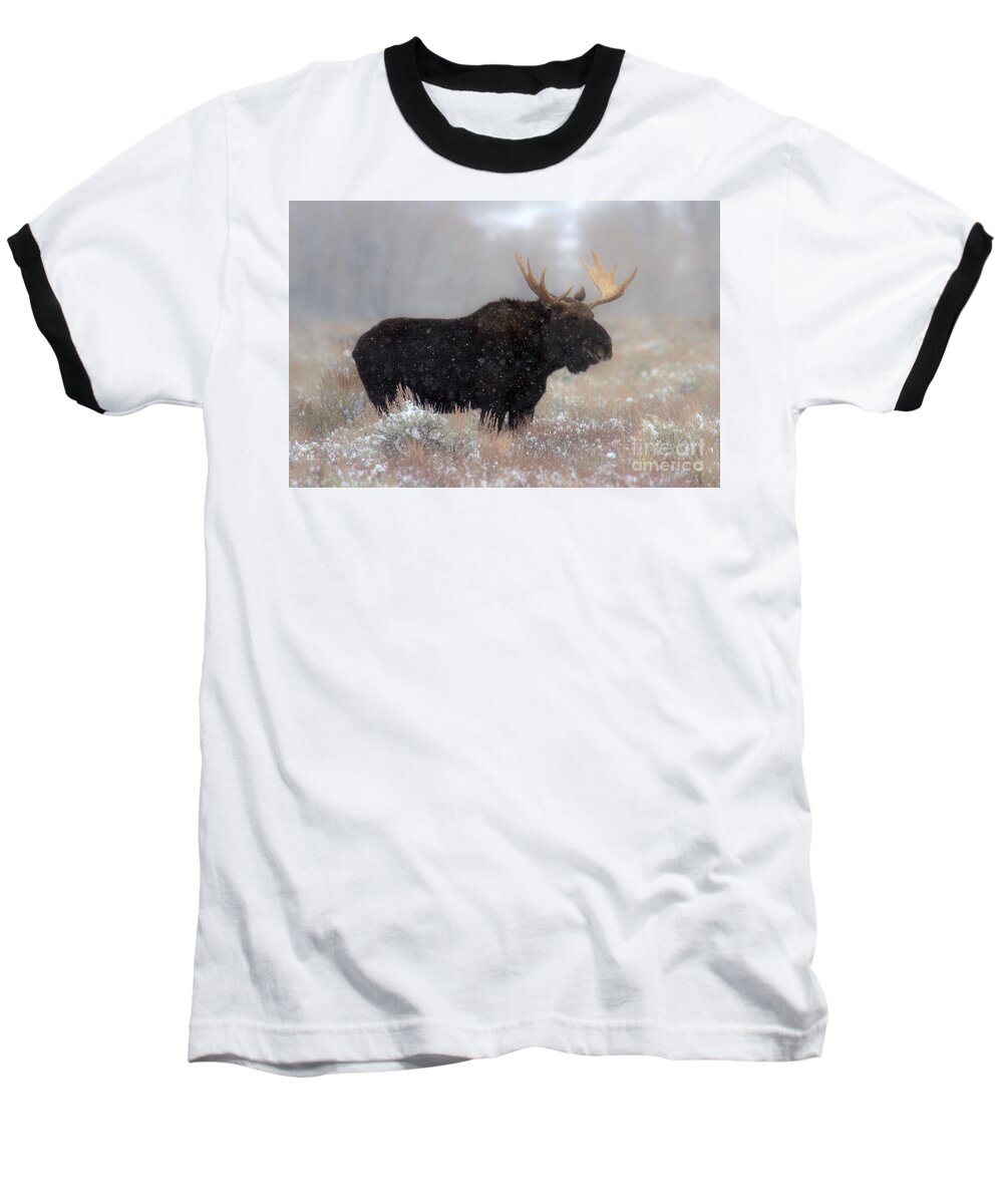Moose Baseball T-Shirt featuring the photograph Moose Winter Silhouette by Adam Jewell
