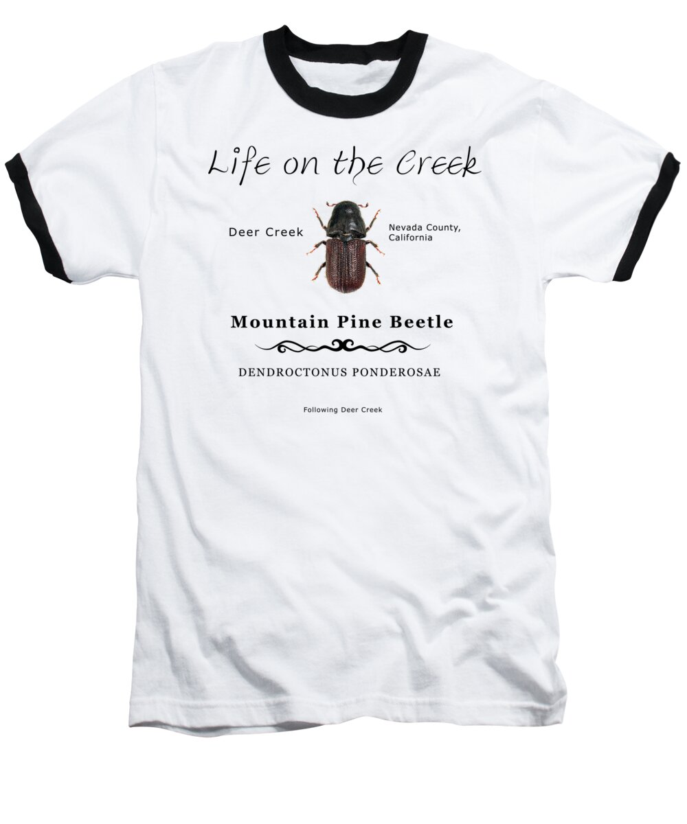 Bark Beetle Baseball T-Shirt featuring the digital art Mountain Pine Beetle color by Lisa Redfern