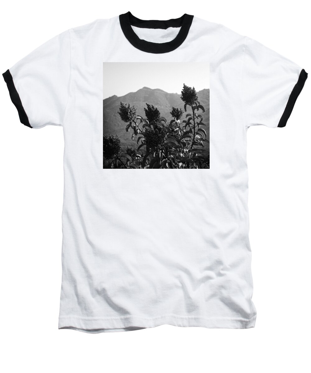 Vegetation Baseball T-Shirt featuring the photograph Mountains and Vegetation by George Taylor