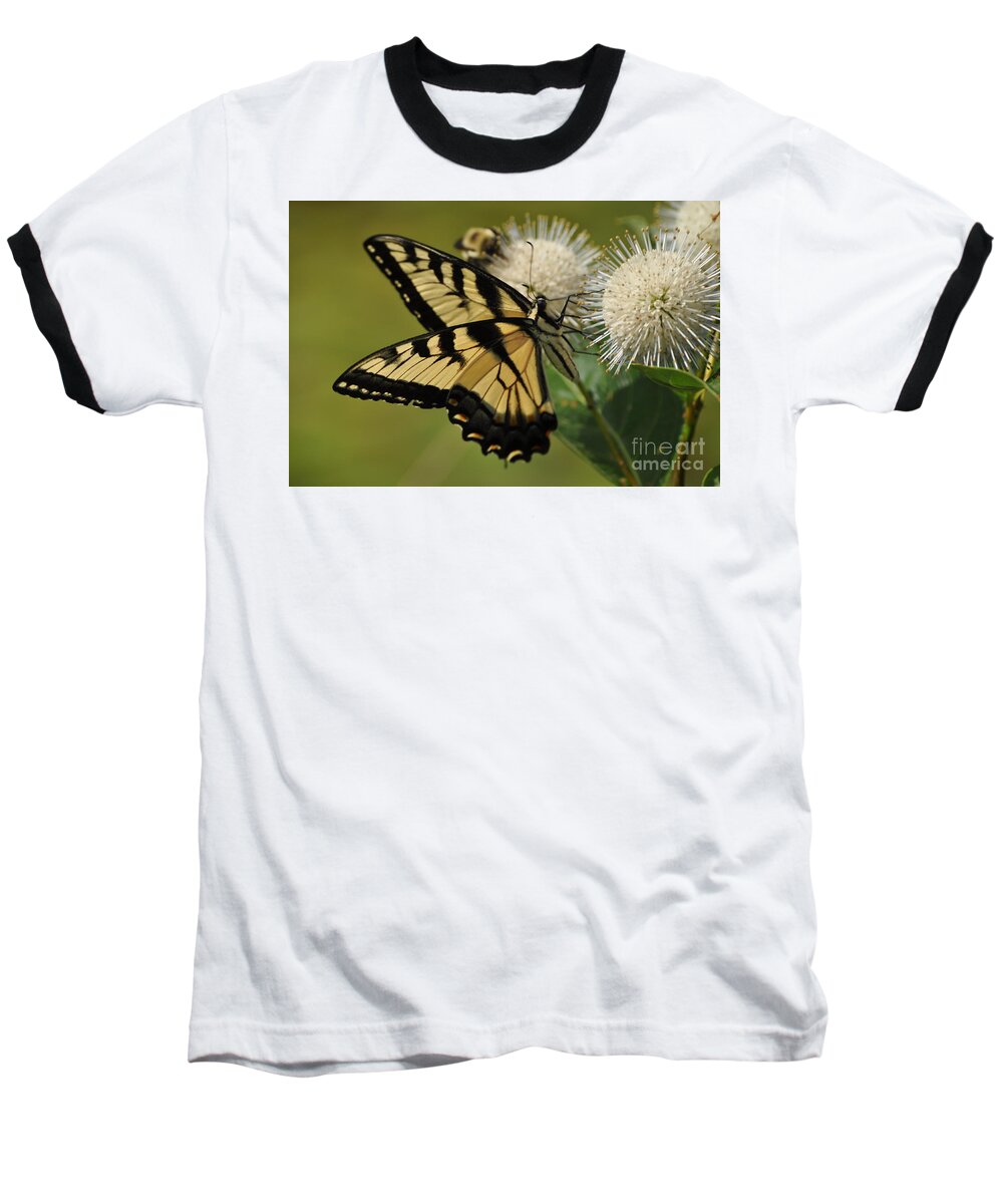 Bee Baseball T-Shirt featuring the photograph Natures Pin Cushion by Nona Kumah