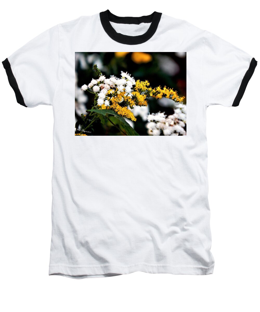 Autumn Baseball T-Shirt featuring the photograph Nemisis by Wild Thing