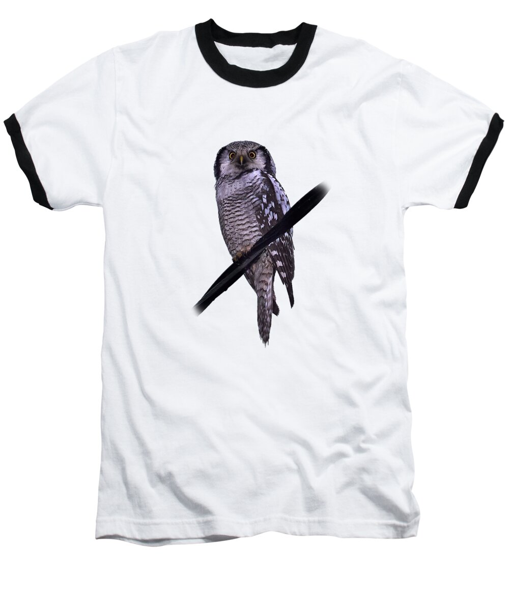 Lehtokukka Baseball T-Shirt featuring the photograph Northern hawk-owl transparent by Jouko Lehto