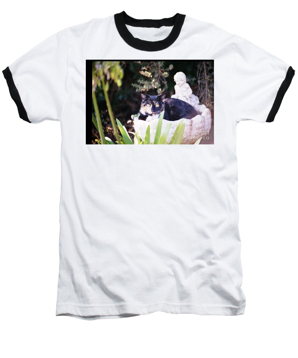 Cat Baseball T-Shirt featuring the photograph Not Just for the Birds by Cynthia Marcopulos