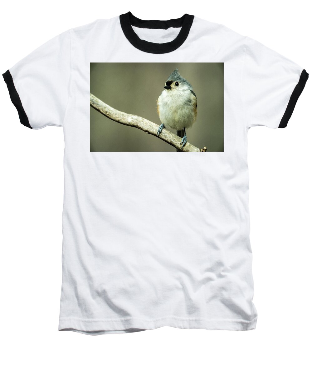 Titmouse Baseball T-Shirt featuring the photograph Titmouse Thinking about Weighty Matters by Douglas Barnett