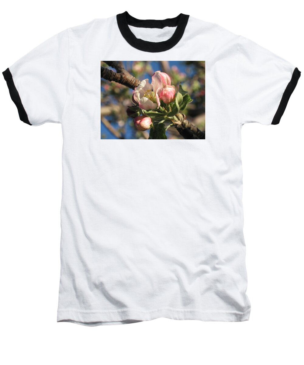  Baseball T-Shirt featuring the photograph Opening by Ron Monsour