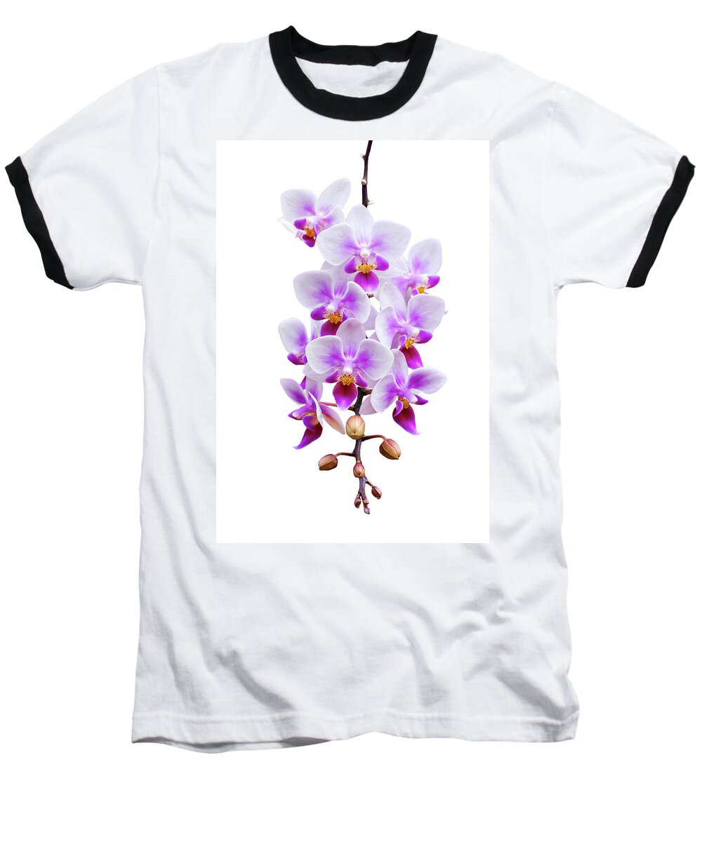 Orchid Baseball T-Shirt featuring the photograph Orchid by Meirion Matthias