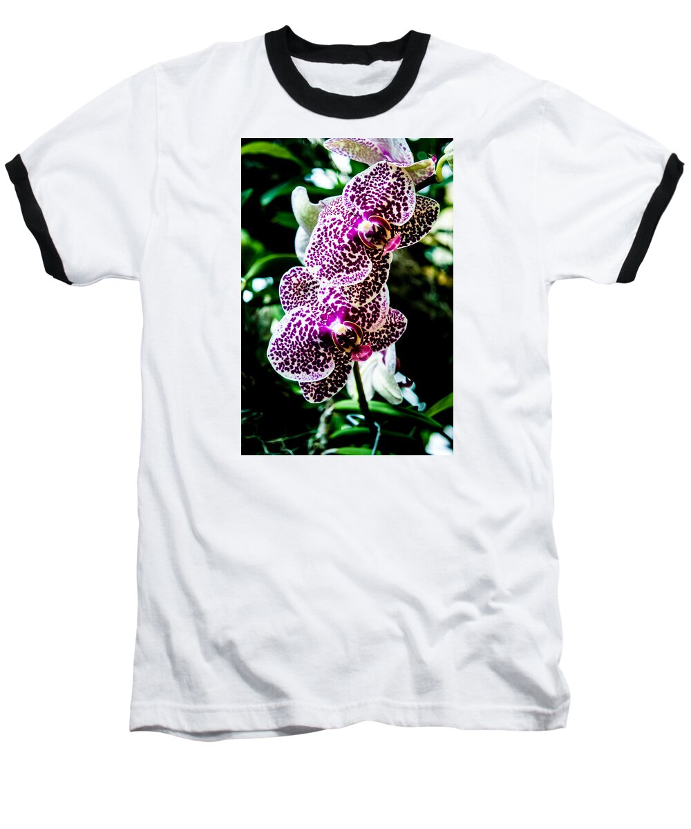 Orchid Baseball T-Shirt featuring the photograph Orchid - PLA236 by Gordon Sarti