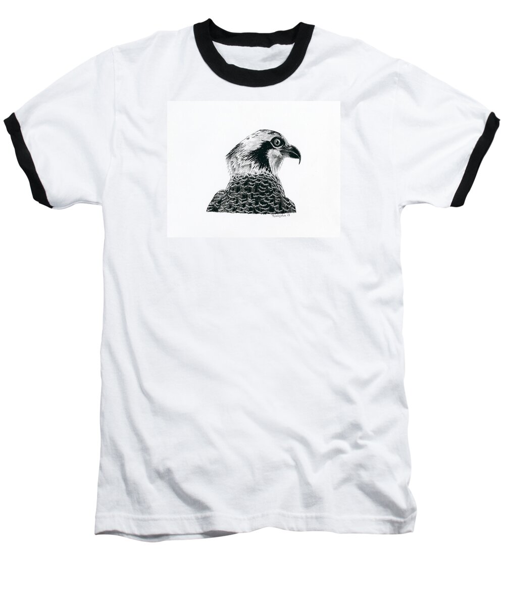 Osprey Baseball T-Shirt featuring the drawing Osprey Portrait by Timothy Livingston