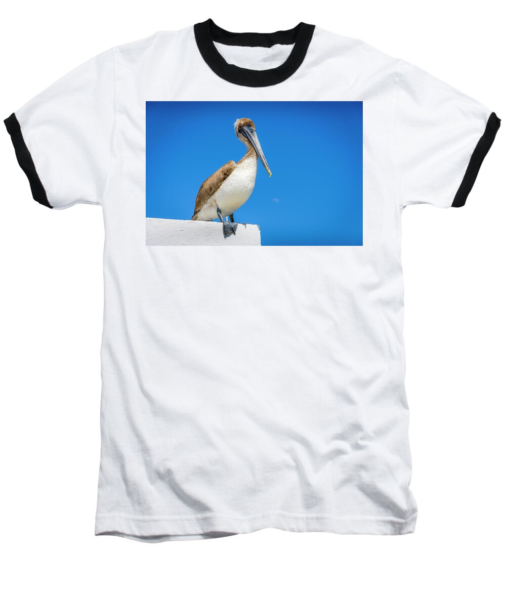 Birds Baseball T-Shirt featuring the photograph Pelican by Daniel Murphy