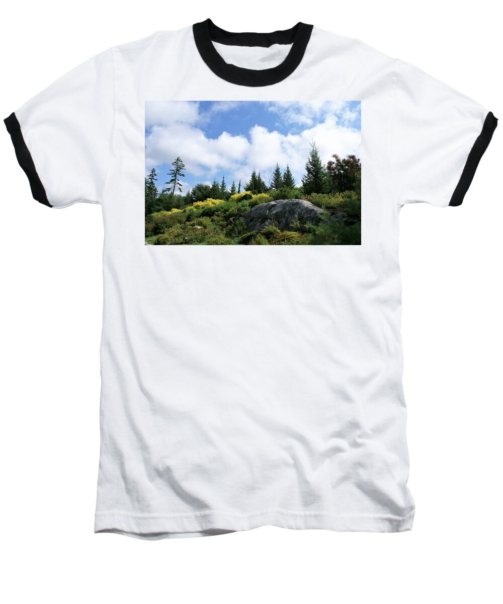 Trees Baseball T-Shirt featuring the photograph Pines at the top by Lois Lepisto