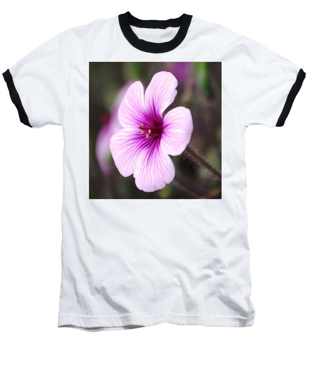 Flower Photography Baseball T-Shirt featuring the photograph Pink Flower by Sumoflam Photography