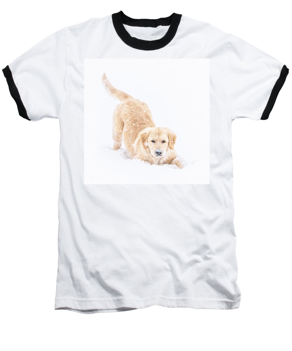 Puppy Baseball T-Shirt featuring the photograph Playful Puppy by Jennifer Grossnickle