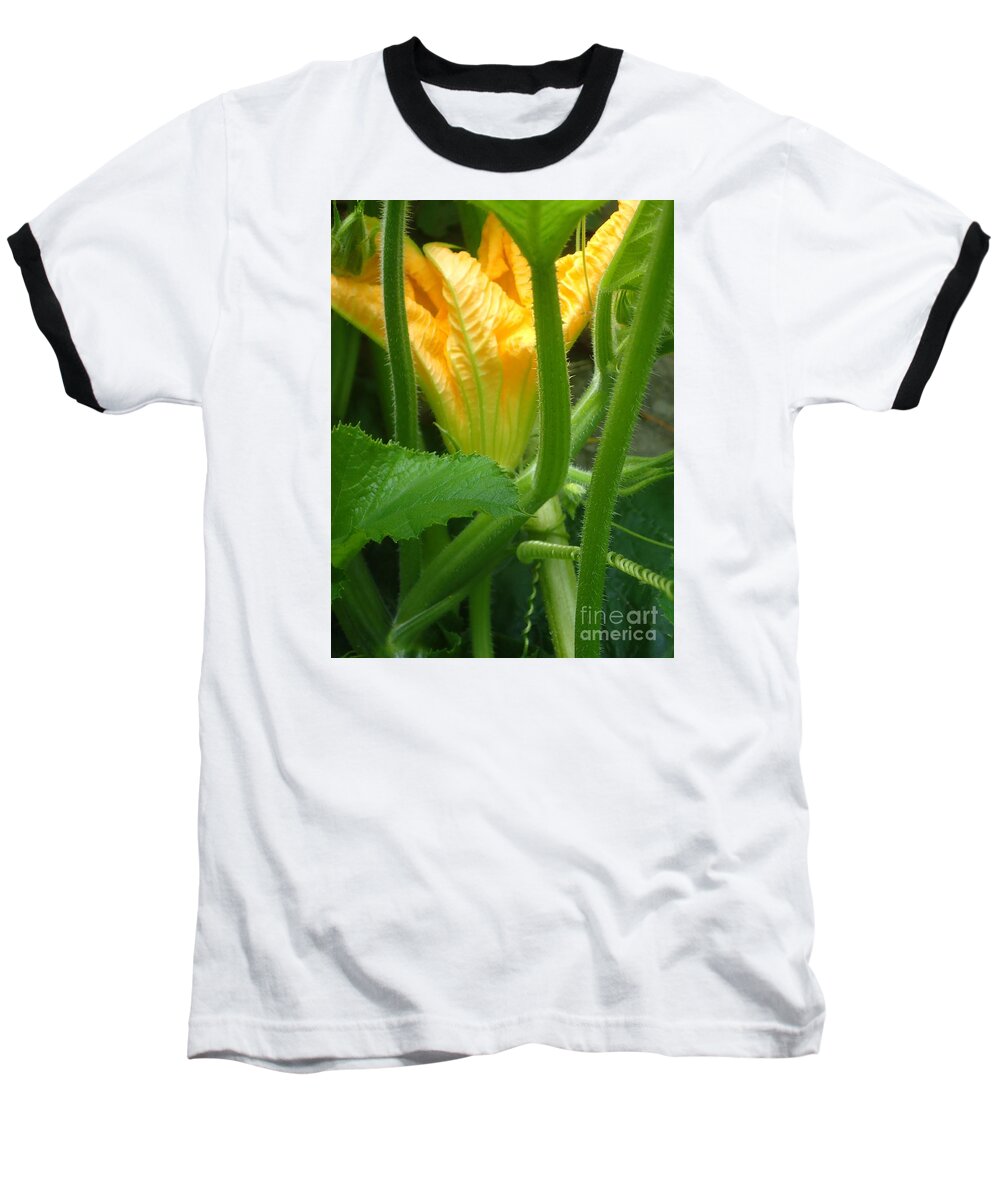 Nature Baseball T-Shirt featuring the photograph Pumpkin Blossom by Christina Verdgeline