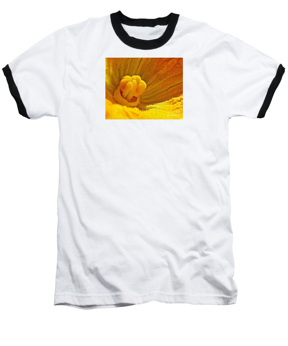 Flower Baseball T-Shirt featuring the photograph Pumpkin Blossom by Linda Bianic