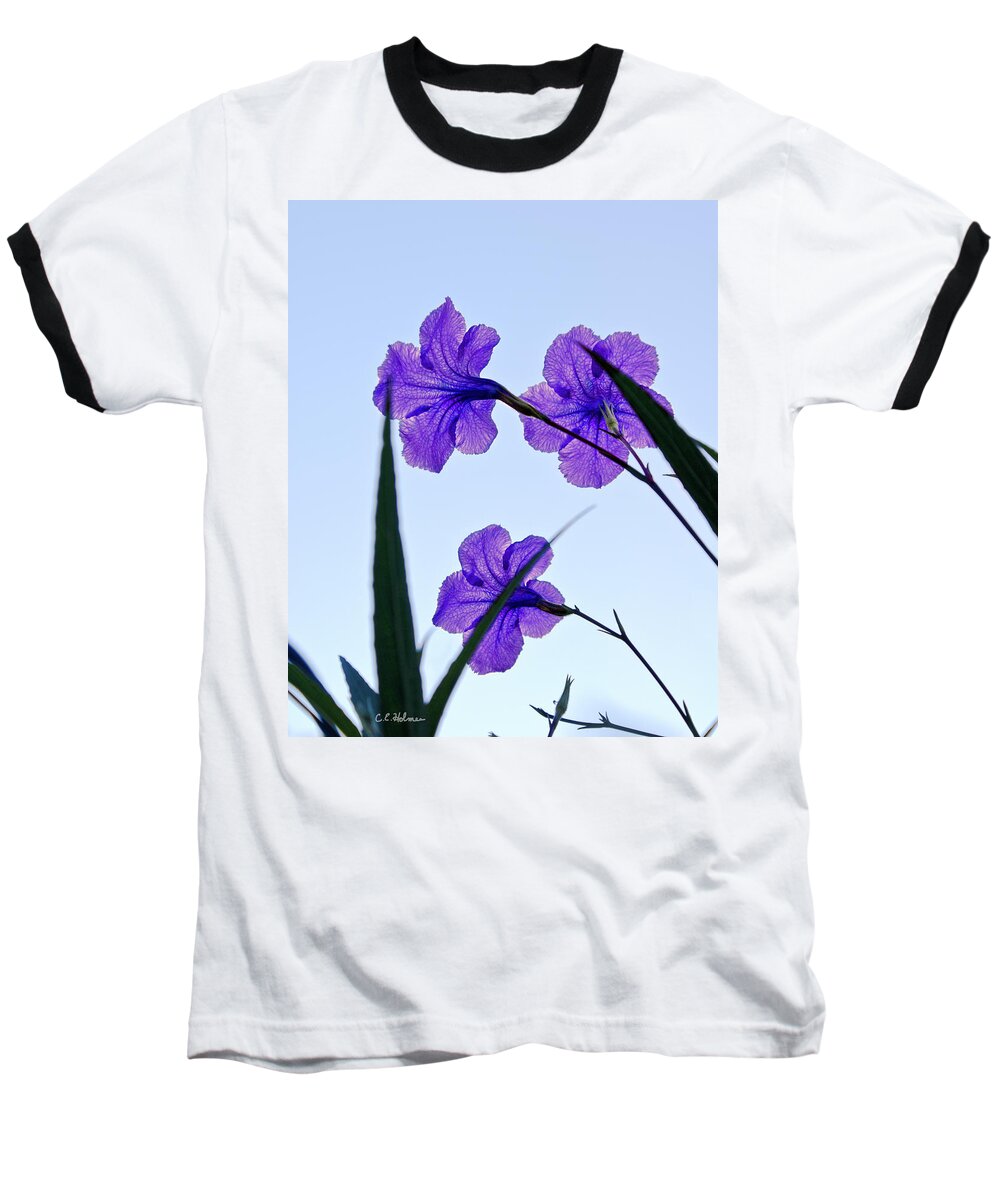Flower Baseball T-Shirt featuring the photograph Purple Trio by Christopher Holmes