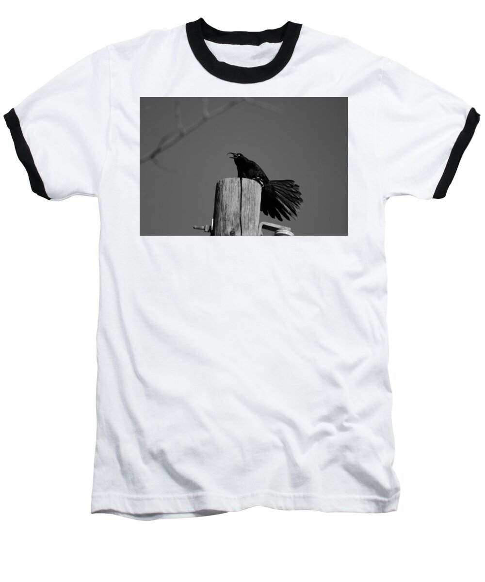Black And White Photograph Baseball T-Shirt featuring the photograph Raging Crow by Colleen Cornelius
