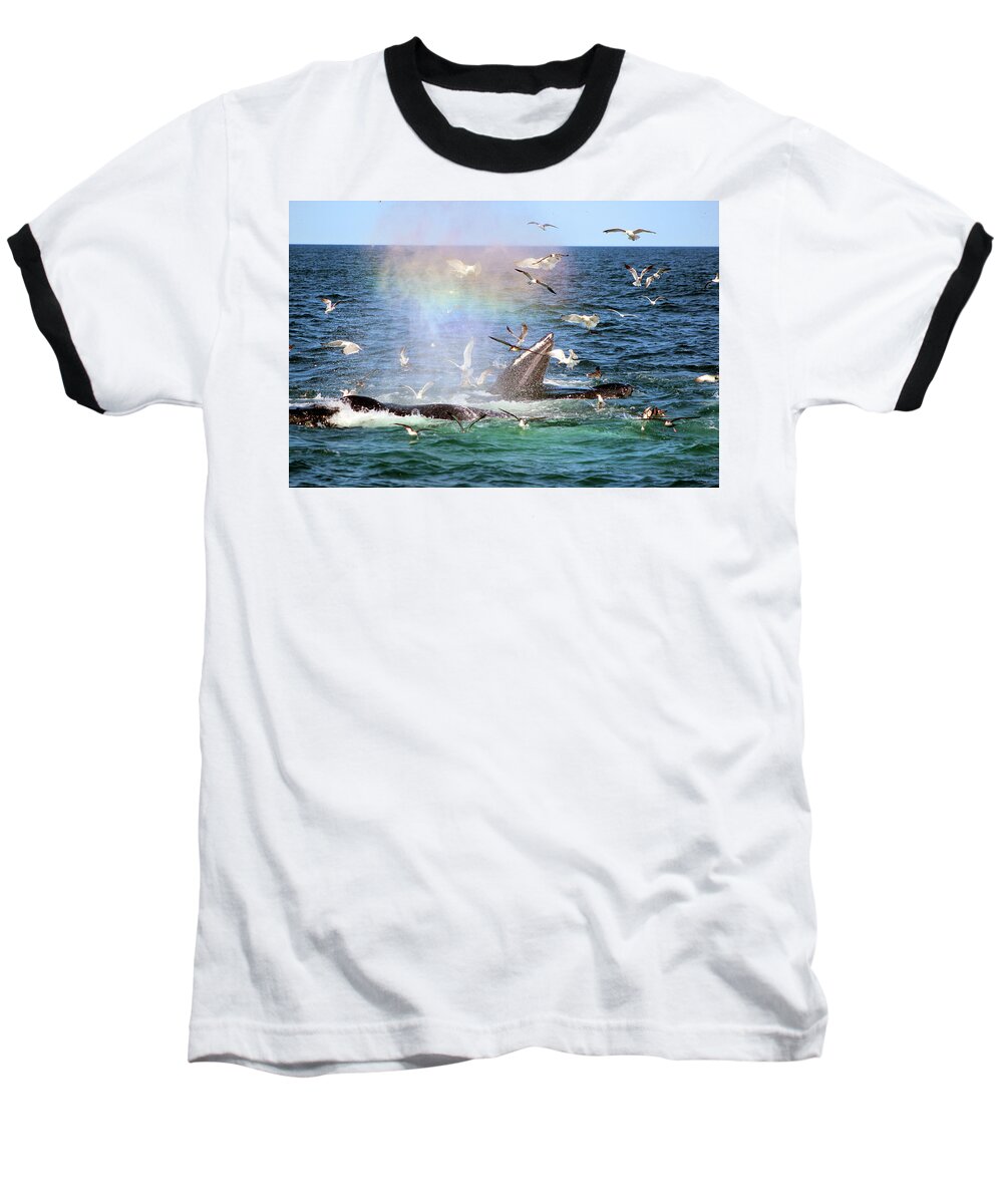 Rainbow In The Spray Baseball T-Shirt featuring the photograph Rainbow In The Spray 1 by Linda Sannuti