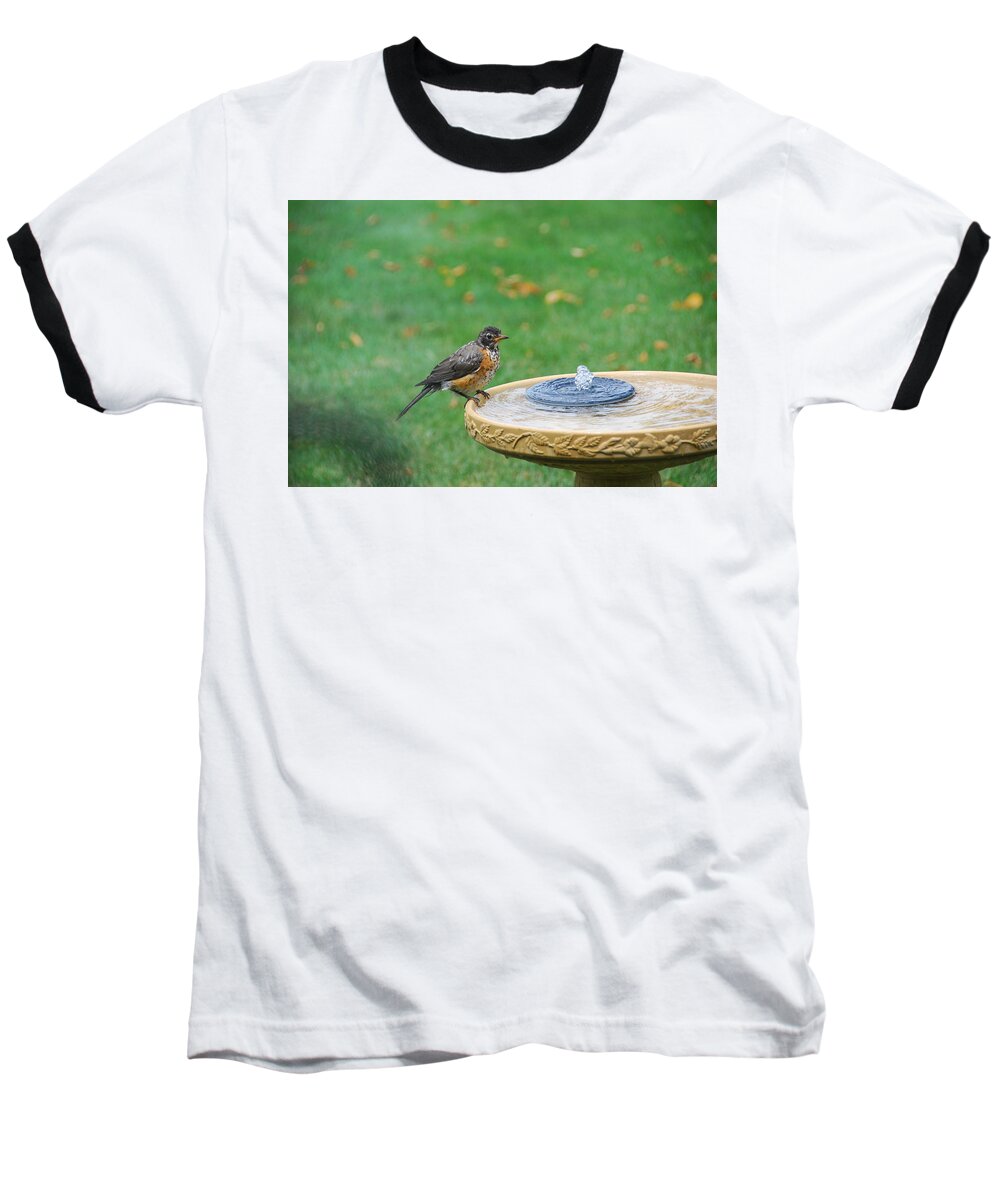 Robin Baseball T-Shirt featuring the photograph Ready to Jump In by Wanda Jesfield