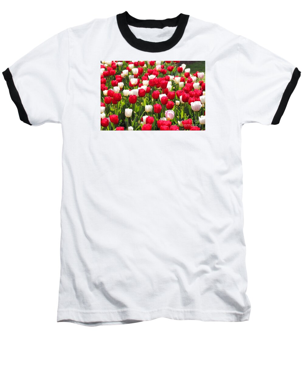 Tulips Baseball T-Shirt featuring the photograph Red and White Tulips by Bev Conover