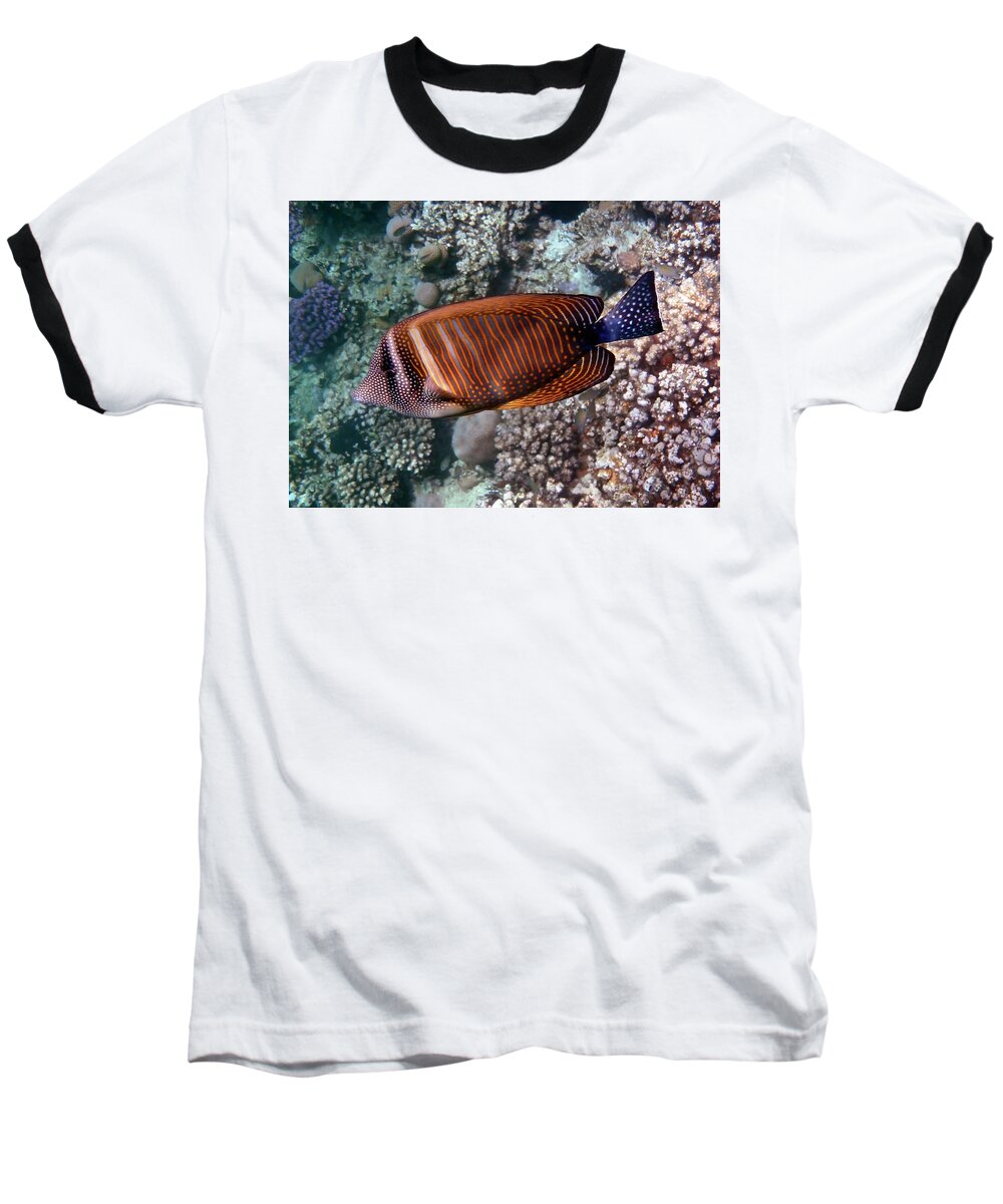 Sea Baseball T-Shirt featuring the photograph Red Sea Sailfin Tang 3 by Johanna Hurmerinta