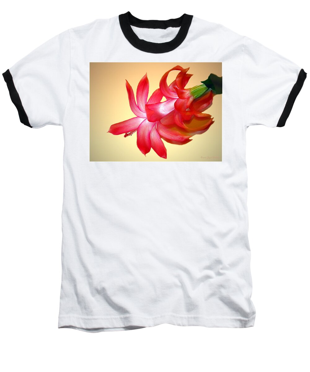 Cacti Baseball T-Shirt featuring the photograph Refined Elegance 4 by Joyce Dickens