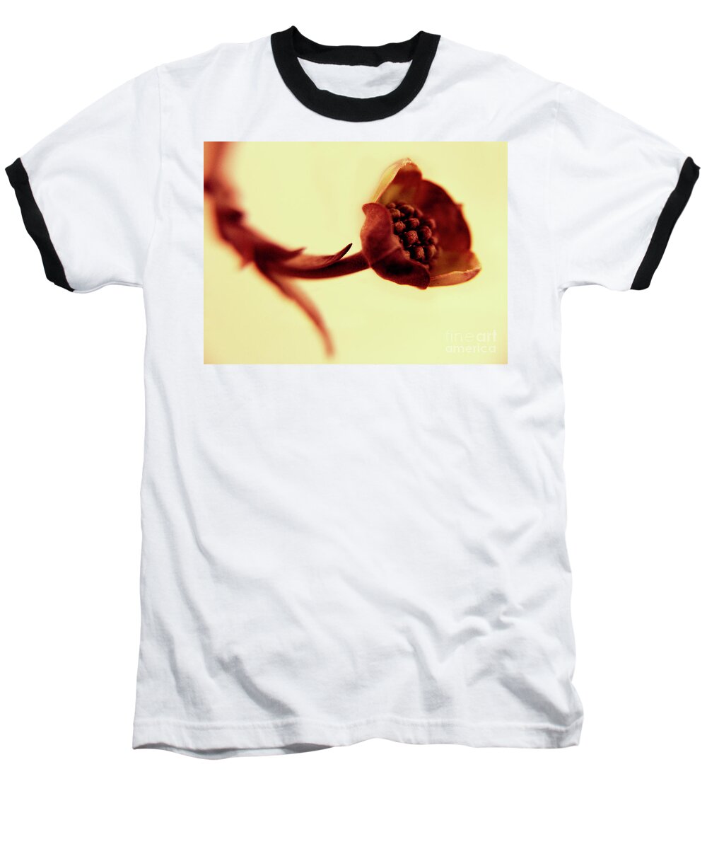 Bloom Baseball T-Shirt featuring the photograph Repose by Dana DiPasquale