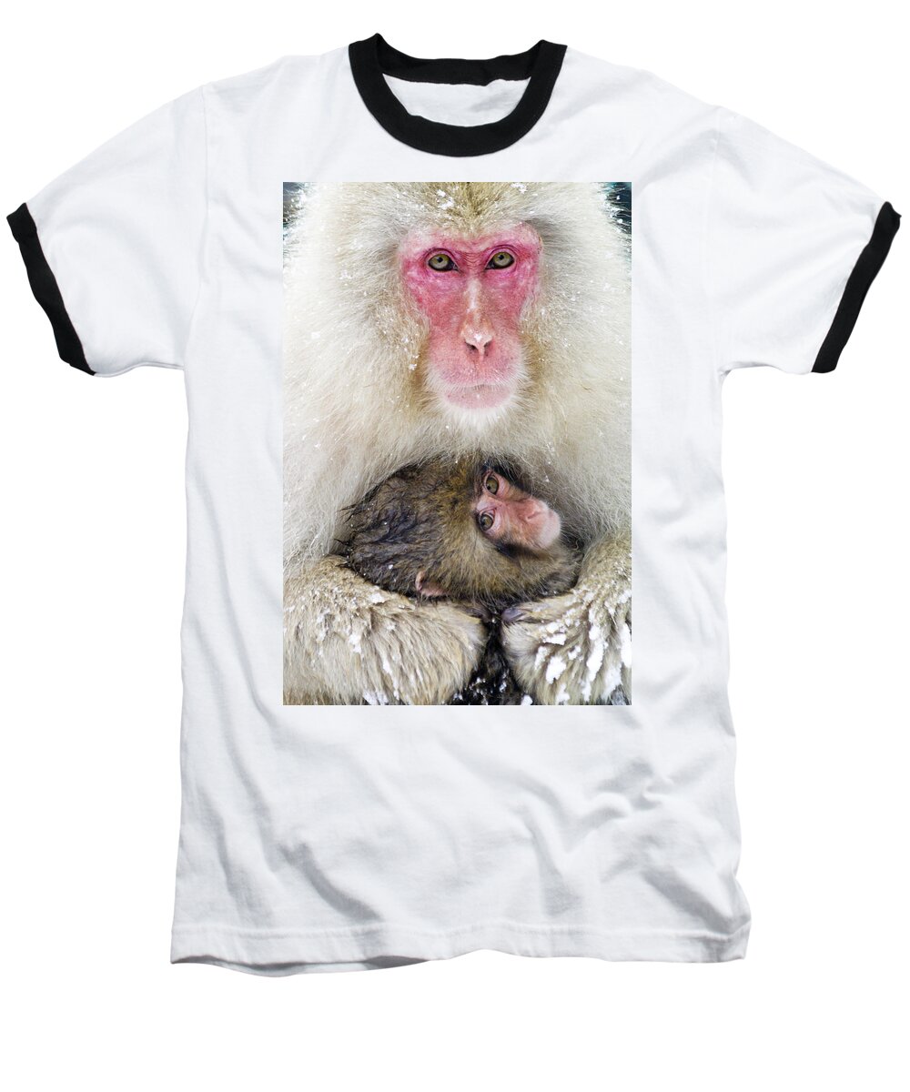 Japan Baseball T-Shirt featuring the photograph Snow Monkey Love by Michele Burgess