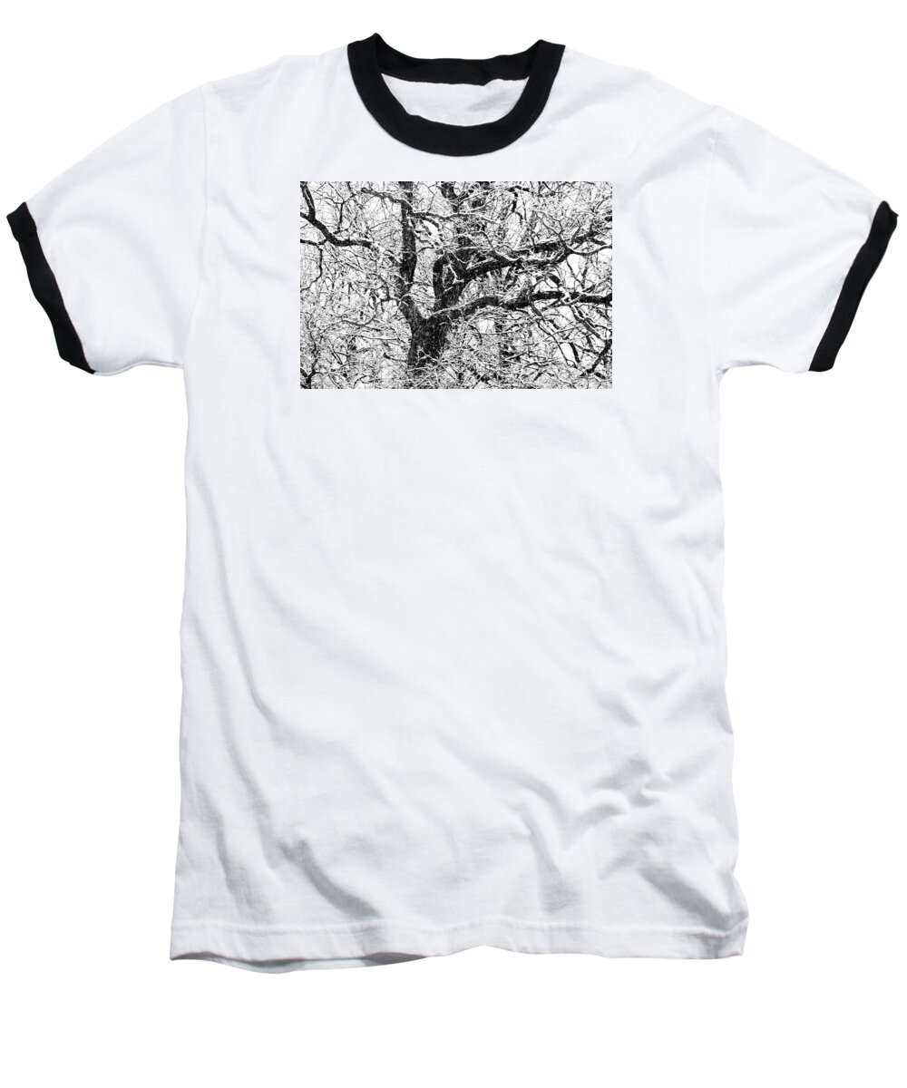Abstract Baseball T-Shirt featuring the photograph Snowy Oak by David Ralph Johnson