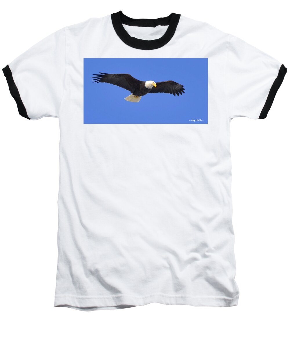 Eagle Baseball T-Shirt featuring the photograph Soaring Eagle by Harry Moulton