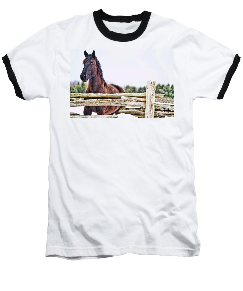 Horse Baseball T-Shirt featuring the photograph Strength by Traci Cottingham
