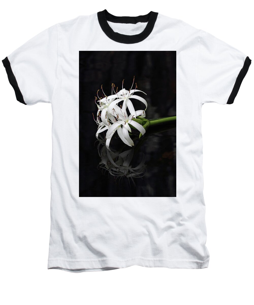 Wildflower Baseball T-Shirt featuring the photograph String Lily #1 by Paul Rebmann