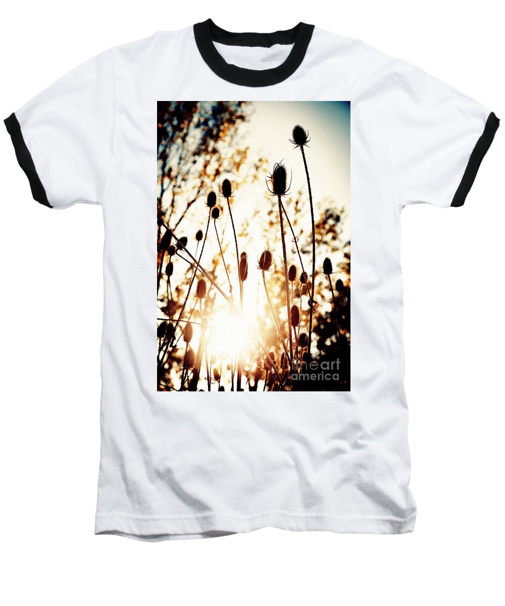 Landscape Baseball T-Shirt featuring the photograph Sunny Afternoon by RicharD Murphy